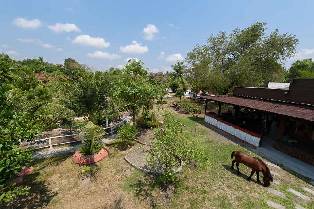 Cowboy Farm Resort Pattaya Ban Huai Yai Buitenkant foto
