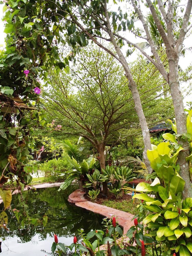 Cowboy Farm Resort Pattaya Ban Huai Yai Buitenkant foto